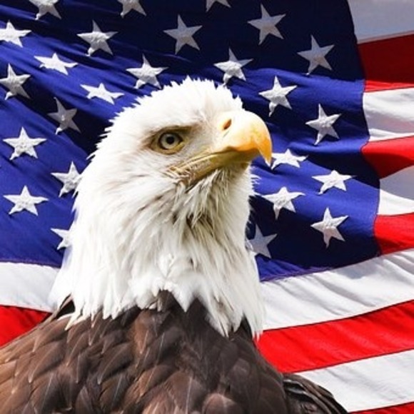 Meet your Posher, Jeff - Picture 1 of 1